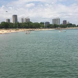 Meet your Posher, Luna